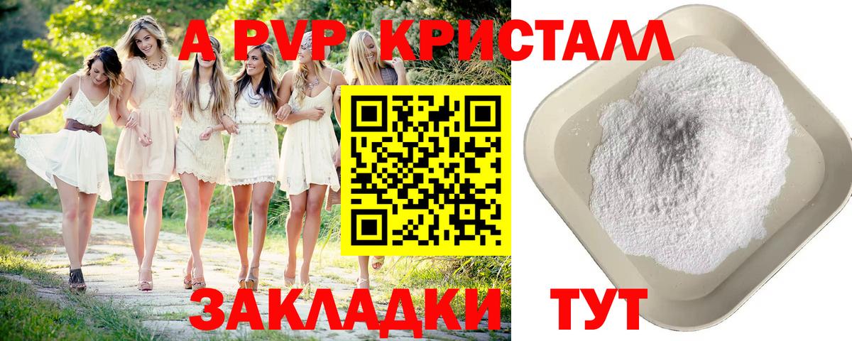 А ПВП СК КРИС Новозыбков