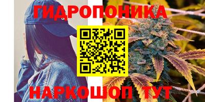 крисы Рыбинск